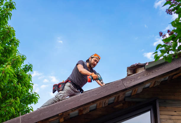 Best Asphalt Shingles Roofing  in Friars Point, MS